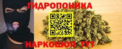 мяу мяу мука Гатчина