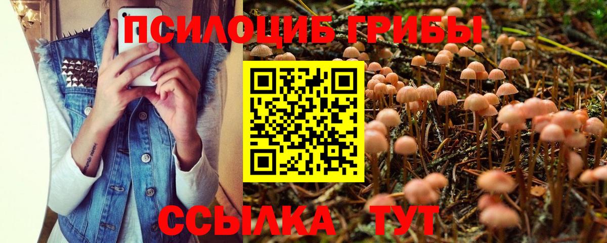 Галлюциногенные грибы мухоморы Нижнекамск