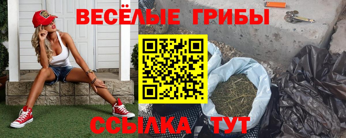 Псилоцибиновые грибы Magic Shrooms  Вход с VPN  Нижнекамск 